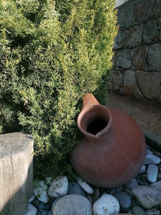 Villa Angela Dhrousha Exteriér fotografie